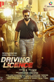 Driving Licence