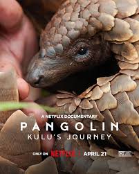 Pangolin Kulus Journey