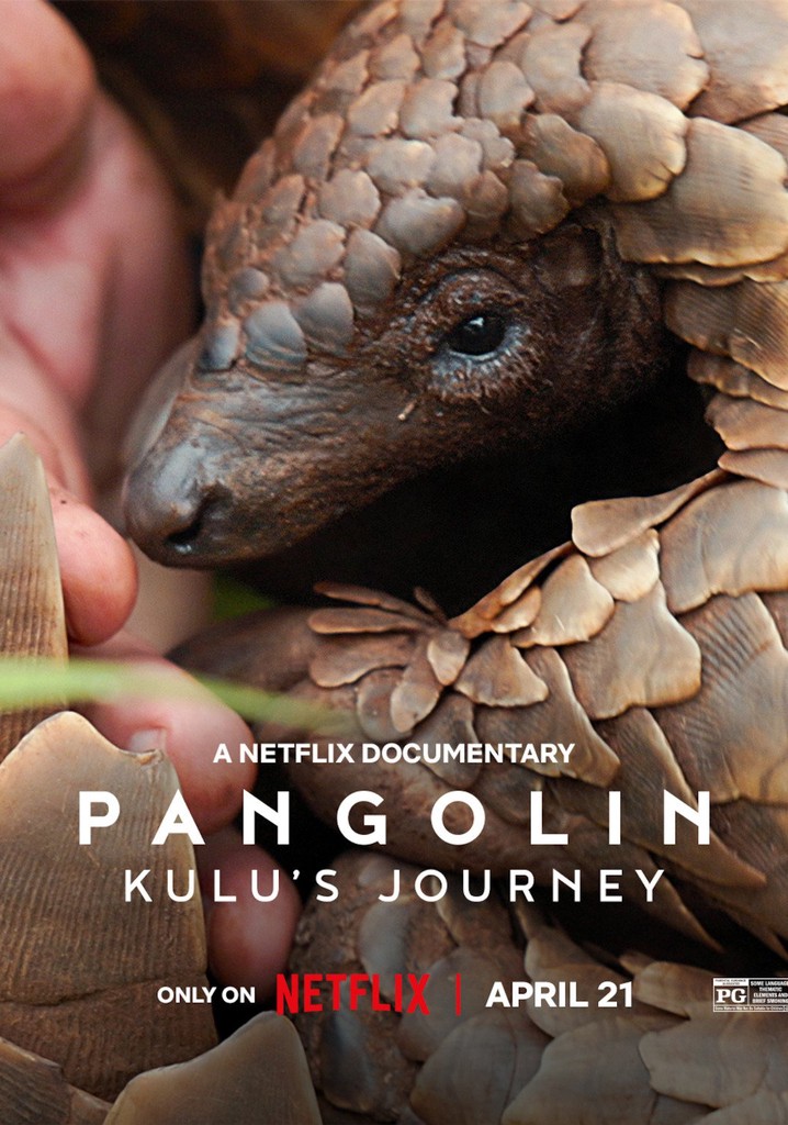 Pangolin Kulus Journey